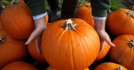 Family-friendly Halloween Glen returns this weekend for 32nd year