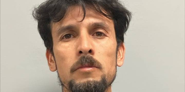 Henry County Sheriff’s Office charges man after several abused animals found during investigation
