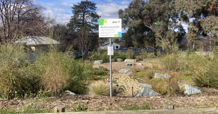 Join the helping hands shaping Queanbeyan's microforests