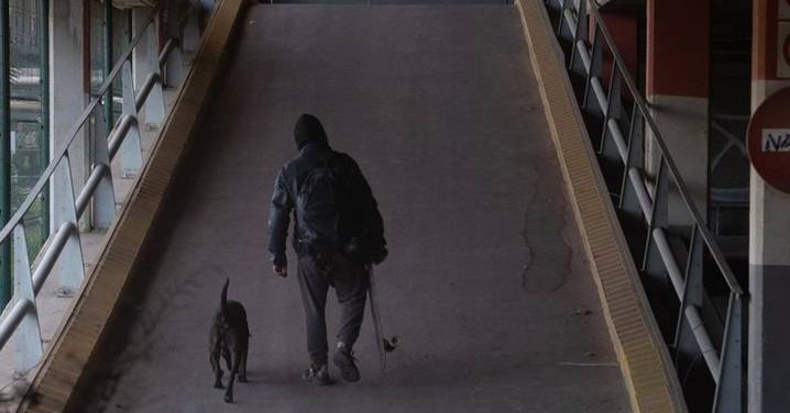 De Barcelona a Salamanca: una oportunidad que brinda protección a propietarios y mascotas en situación de vulnerabilidad