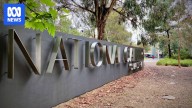 National Gallery will host AYP artwork exhibition after paintings cleared of improper interference