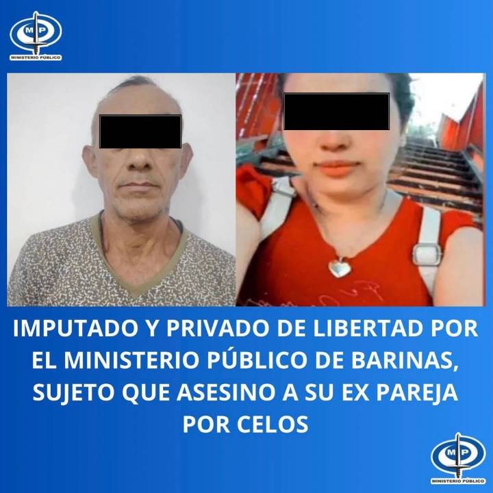 A puñaladas mató a su novia de 25 años