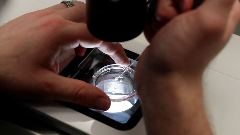 White House announces IVF drug pricing deal for ‘TrumpRx’ site