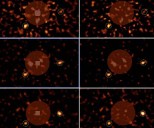 Digital revolution brings new clarity to direct exoplanet imaging with PLACID's liquid crystal optics