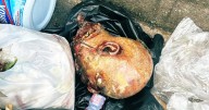 ¿Qué pasó hoy en Tepito con el supuesto hallazgo de una “cabeza humana”: Autoridades capitalinas aclaran la situación