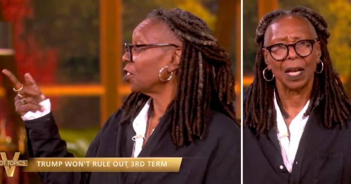 The View's Live Audience Gives Passionate Response When Whoopi Goldberg Asks If They Approve of Donald Trump Running for Third Term: Watch
