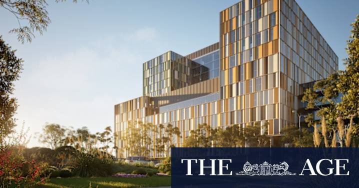 Designs released for the new Murdoch Women and Babies hospital