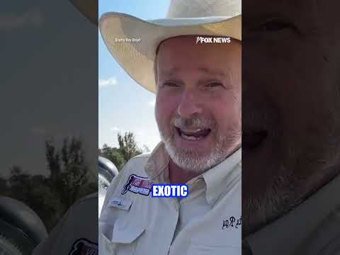 NO MONKEY BUSINESS: Truckload of research monkeys break free after crash #monkey #shorts #crash