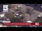 Tree falls on cars in Tempe parking lot