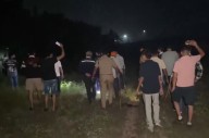 Leopard sighted in Haryana's Ambala, search operation underway