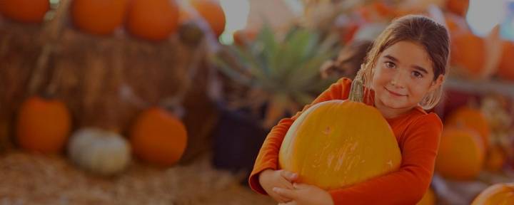 Westside Pumpkin Patches Offer Festive Family Fun Ahead of Halloween