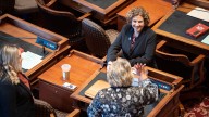 Special election set for Claire Celsi's Senate seat in West Des Moines