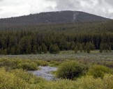 Watchdogs to petition DEQ for nutrient pollution plan