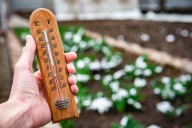 The #1 Sign Your Region Is About to Get Its First Hard Freeze
