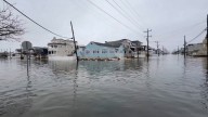 Trending Now Weather Videos