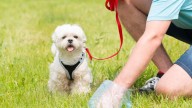Wanneroo council approves lofty $2.5 million expansion of dog poo bag dispensers