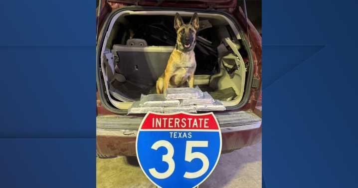 Texas DPS K9 sniffs out 16 pounds of powder fentanyl in Central Texas