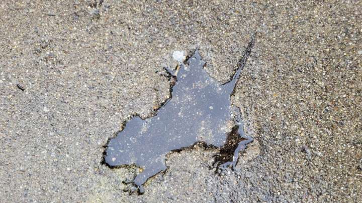 Chicago's Famous Rat-Shaped Hole Is Actually a Squirrel
