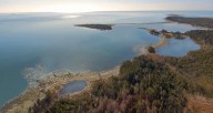 Marineland says its belugas shouldn’t go to Nova Scotia’s Whale Sanctuary Project