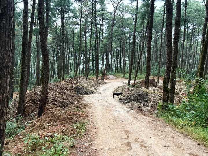 ‘Green hills of Lumparing-Laban facing rampant degradation’