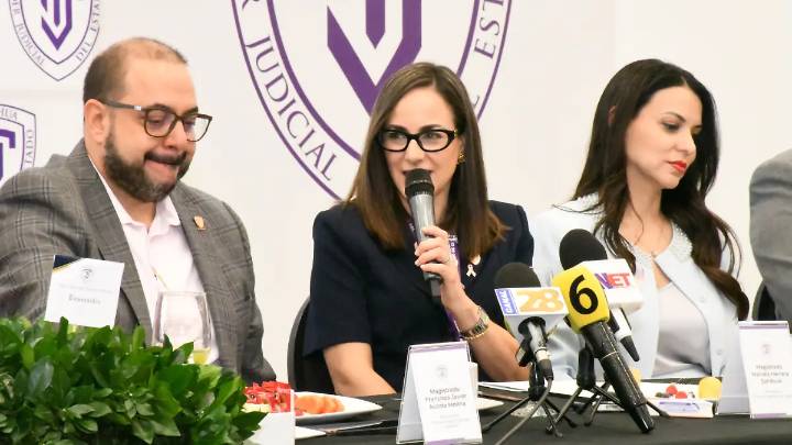 Reforma a Ley de Amparo pone en riesgo garantías individuales: presidenta del TSJ
