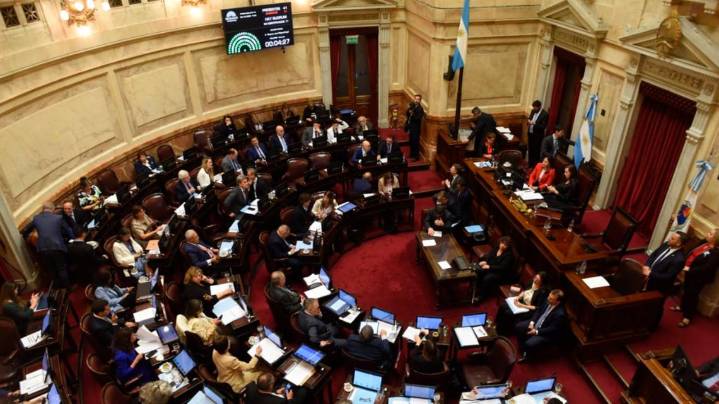 El Senado rechazó los vetos de Milei a las leyes de financiamiento universitario y del Garrahan