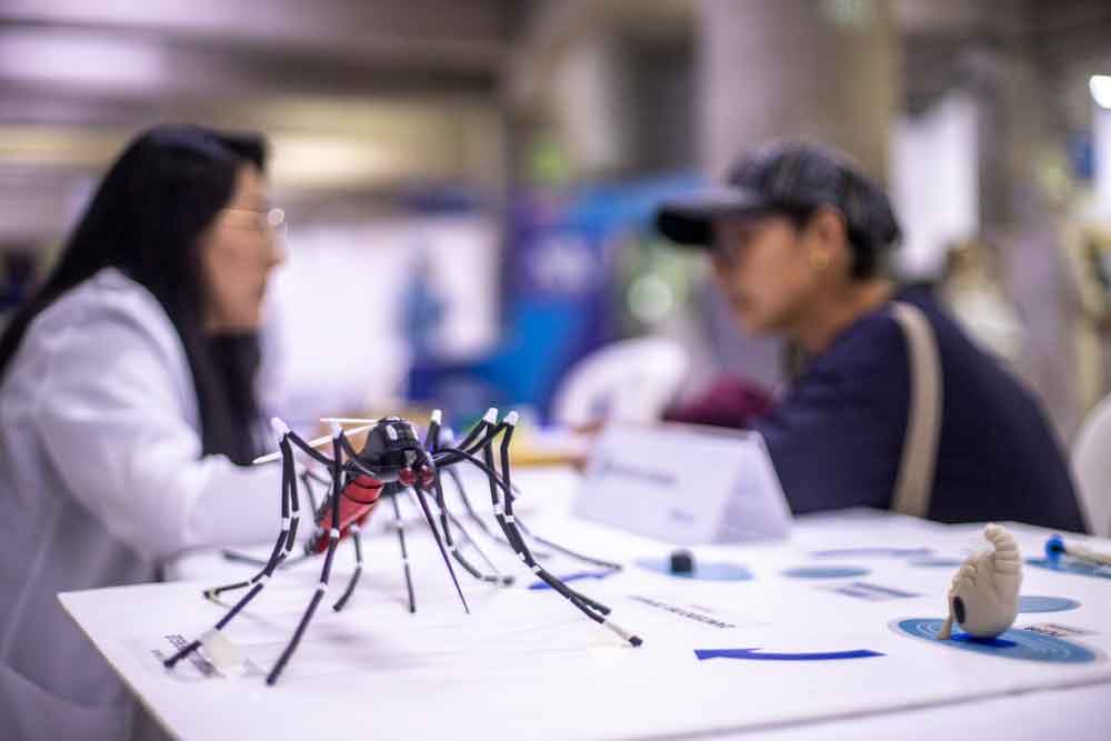 EsSalud refuerza acciones frente al dengue e insta a la ciudadanía a prevenir nuevos contagios