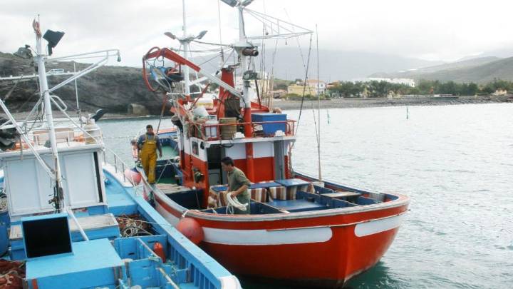 Europa abre un canal directo con Canarias en apoyo a la pesca de las RUP