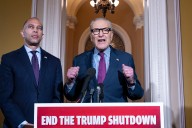 The Democrats' Strategic Dilemma