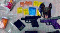 K-9 air sniff leads to stolen car, narcotics arrest in Monroe County