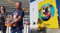 Despiden a Chicles en Tijuana; Realizaron su Última Carrera y un Mural