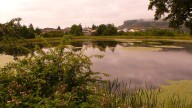 Nanaimo to honour conservationist with Buttertubs Marsh viewing tower