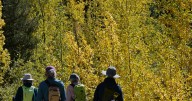 Colorado mountain towns see limited economic boost from fall leaf