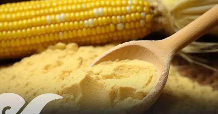 Con planta de harina Puebla será parte del plan federal de autosuficiencia alimentaria