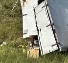 Monkeys that escaped from truck crash killed after being mistaken as dangerous, infected