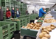¿Cómo puedes emprender en el medio rural asturiano?