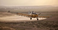 La prohibición de plaguicidas obliga al campo mexicano a transformarse