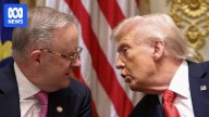 Australian official to join Trump-led Gaza peace taskforce