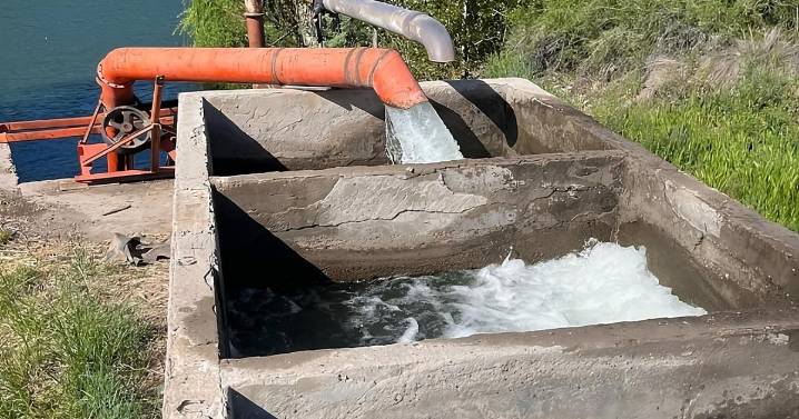 Bombas Pivas, la llave del exitoso productor que cambió el secano en Buenos Aires por el riego en Río Negro