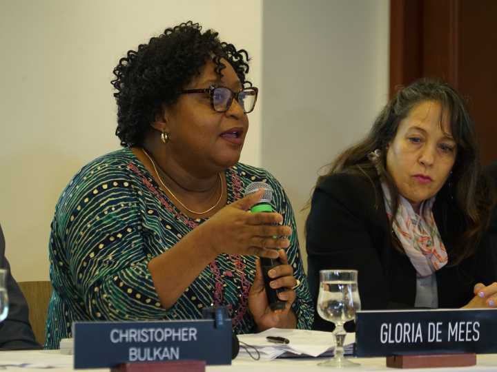 ENTREVISTA | CIDH: “impedir la visita de la Comisión reflejaría el colapso institucional en Venezuela” 