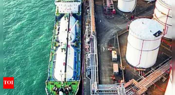 Eight Indians, 10 firms face US sanctions over Iran oil link