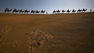 En materia de cambio climático, el capital debe seguir el liderazgo de África