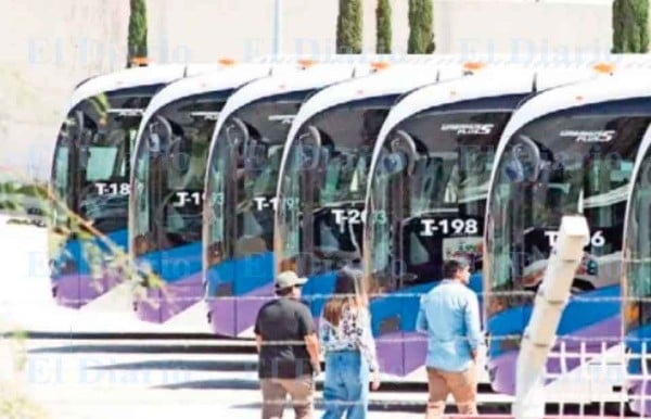 Pondrán hoy en marcha 40 bowís en El Palomar