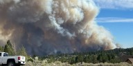 Moana Nursery trees will help rehabilitate areas damaged by Davis Fire