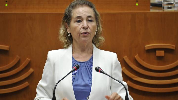 Luz verde a la primera universidad privada de Extremadura con la abstención del PSOE y el voto en contra de Unidas: "Venimos a aportar", dicen los promotores