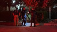 Localizan a adulta mayor y a su mascota sin vida en vivienda en la colonia Revolución