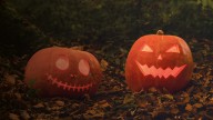GranCasa celebra Halloween con la Feria de las Almetas: un homenaje a las tradiciones aragonesas