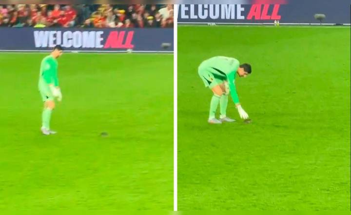 Thibaut Courtois vivió momento surrealista: rata invadió el partido Bélgica vs Gales y 'gambeteó' al portero del Real Madrid