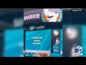 San Jose Sharks apologize for fan's video board message about ICE on Hispanic Heritage Night