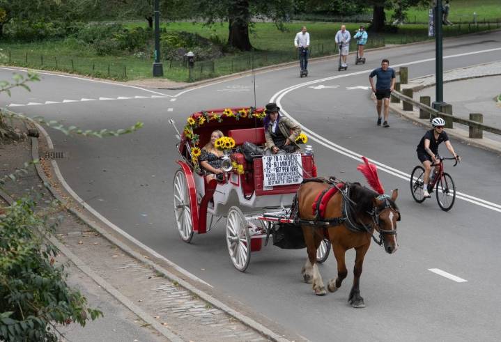 NYC transit union preparing to sue Adams' donors, top aide over push to ban horse carriages